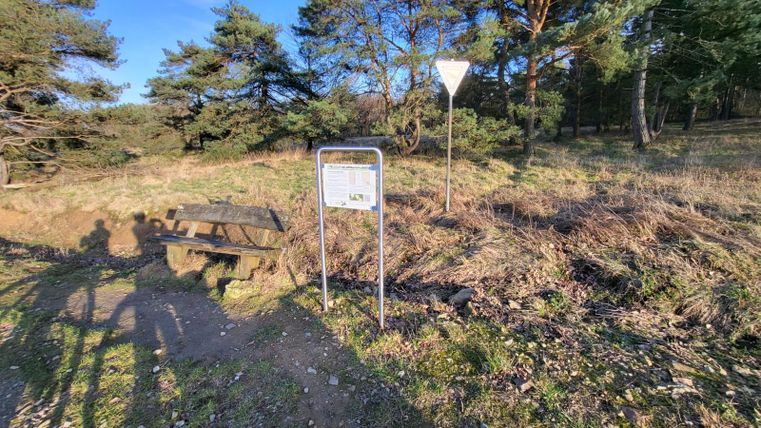A bench is situated along a path in nature, surrounded by trees. A sign points to special information.