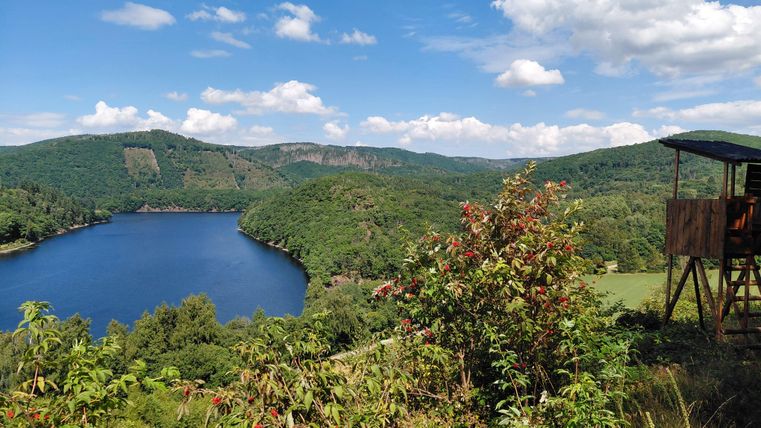 A tranquil landscape with a blue lake, surrounded by green hills and trees. In the foreground, there are colorful bushes and an observation point.
