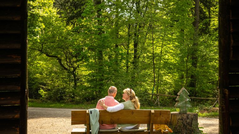 Een paar zit op een bank in het bos en geniet van de natuur. Omgeven door groene bomen straalt de scène rust en harmonie uit.