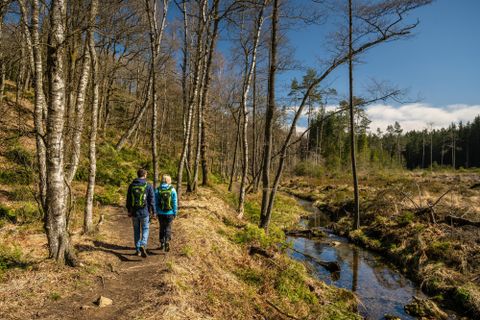 Twee wandelaars lopen een pad door een rustige bos. Naast het pad stroomt een kleine beek.