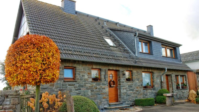 Een modern huis van steen met een grijs dak. Voor het huis staat een decoratieve boom en onderhouden struiken.