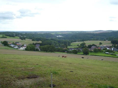 A vast landscape with gentle hills and meadows. In the background, small villages and a cloudy sky can be seen.