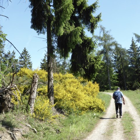 Wandern, © Düren Tourismus