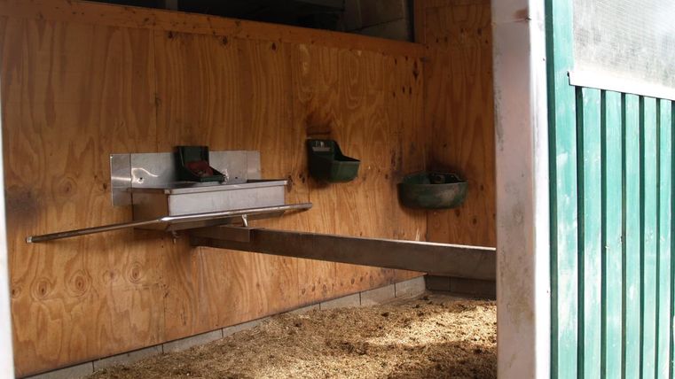 A stable with a wooden panel and a feeding trough. Feeding bowls for animals hang on the wall.