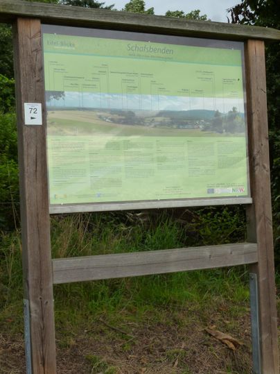 An informational sign stands in nature. It displays maps and information about the surrounding area.