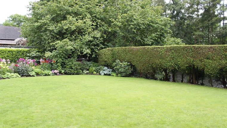 Een verzorgde tuin met groen gras en bloeiende bloemen. Heuphoogte hagen omlijsten het terrein.
