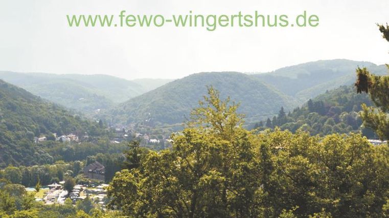 A beautiful view of the green hills and the valley of Heimbach. Ideal for nature lovers and those seeking relaxation.