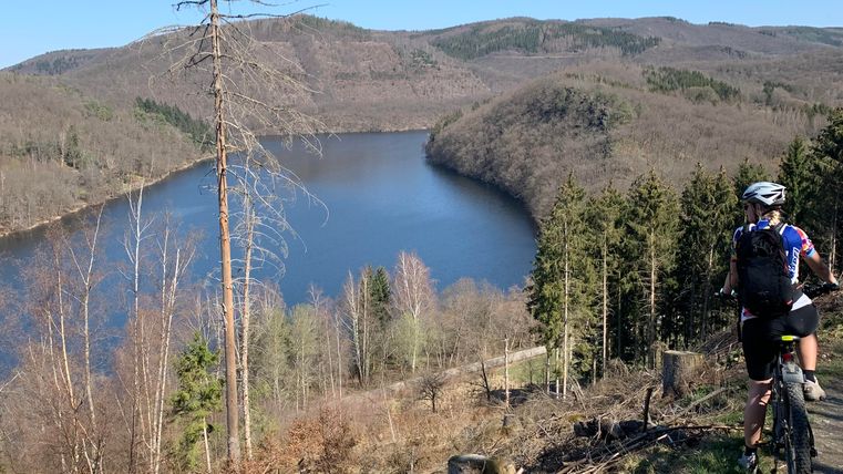 A cyclist enjoys the view of a lake in a picturesque landscape. The surroundings are characterized by trees and gentle hills.