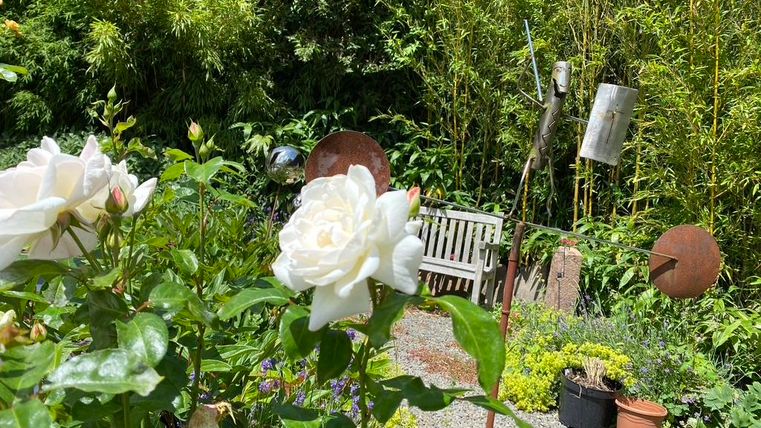 Een mooie tuin met witte rozen en groene planten. Op de achtergrond zijn een bank en decoratieve objecten van metaal te zien.