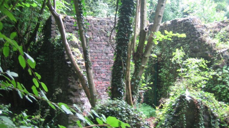 Eine verfallene Mauer, umgeben von dichtem Grün und Bäumen. Die Natur hat sich den Raum zurückerobert und überwuchert die Ruine.