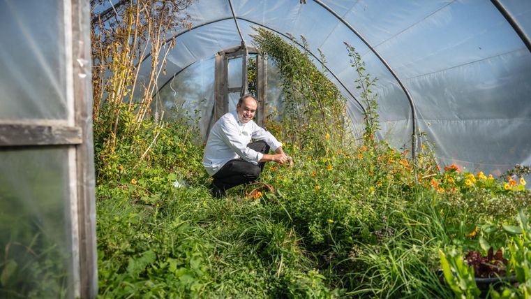 A garden with many plants and flowers in a greenhouse. A person is sitting in the garden and taking care of the plants.
