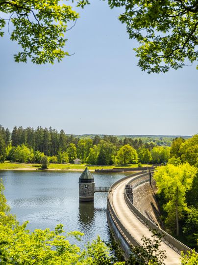 Eine malerische Brücke führt über einen ruhigen See, umgeben von üppigem Grün. Im Hintergrund stehen dichte Wälder und ein klarer blauer Himmel.