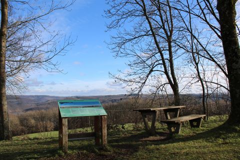 Ein Aussichtspunkt mit einem Tisch und einer Bank steht unter Bäumen. Im Hintergrund ist eine weite Landschaft und ein klarer blauer Himmel zu sehen.