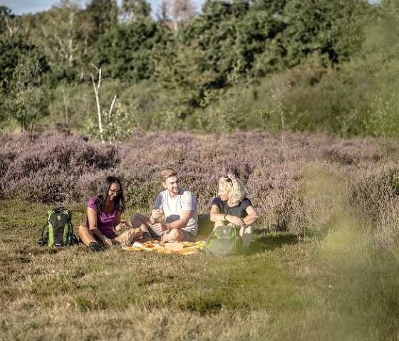 Picnic on Dover Heath, © Kreis Düren_Dennis Stratmann