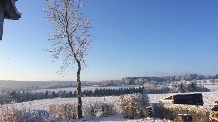 Eine verschneite Landschaft mit einem einzelnen Baum und klarem blauem Himmel. Im Hintergrund sind verschneite Felder und Wälder zu sehen.