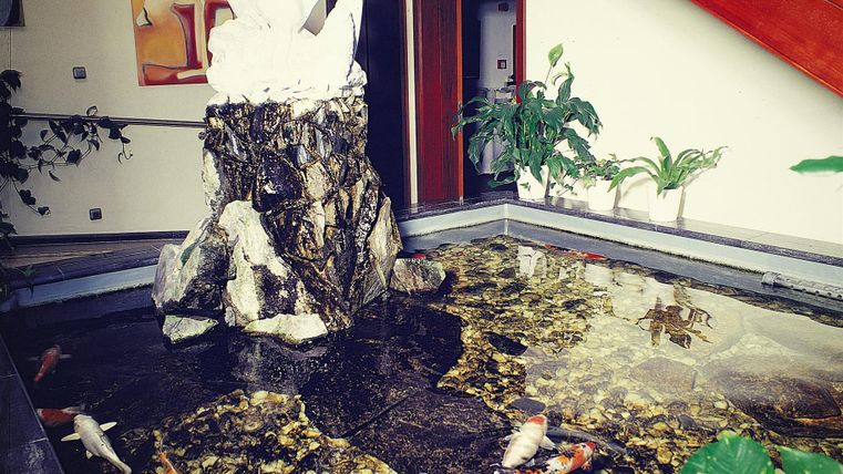 Een decoratieve binnenfontein met een sculptuur en kleurrijke koi-vissen. Omgeven door planten en een moderne inrichting.