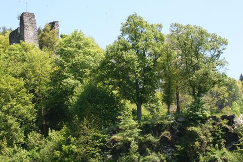 Eine Ruine auf einem grünen Hügel, umgeben von dichten Bäumen. Der Himmel ist klar und die Landschaft wirkt friedlich.