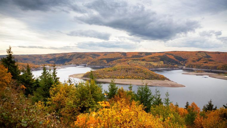 Een schilderachtig landschap in de herfst met kleurrijke bomen. Een rustige rivier kronkelt tussen de zachte heuvels.