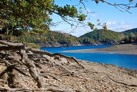 Een mooi meer met helder blauw water en rustige oeverzones. Op de voorgrond zijn wortels en bomen te zien.