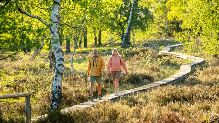 Ein Paar spaziert auf einem Holzsteg durch eine idyllische Landschaft mit grünem Bewuchs. Die Sonne scheint und es herrscht eine angenehme, fröhliche Atmosphäre.