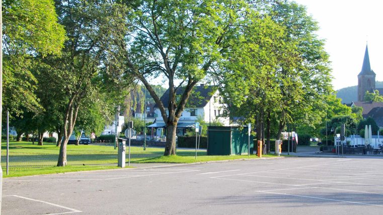 Een rustige park met grote bomen en een heldere lucht. Op de achtergrond zijn enkele gebouwen en een kerktoren te zien.
