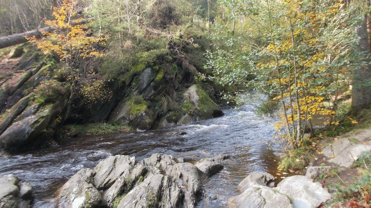 Een heldere rivier stroomt tussen grote, rotsachtige oevers. Kleurrijke bomen omringen het water en creëren een rustige, natuurlijke omgeving.