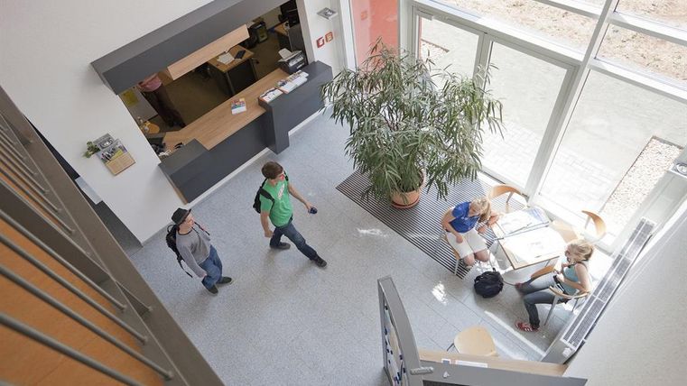A bright reception area with a large plant and several people. Two people walk by while others sit at the table and chat.