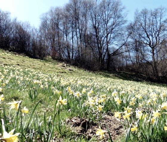 Eifelverein, © Eifelverein Düren
