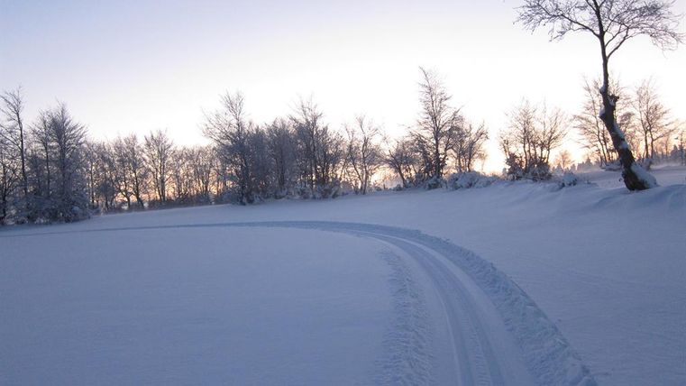 A snowy landscape with a winding path that leads through the white splendor. In the background, snow-covered trees and a gentle sky are visible.