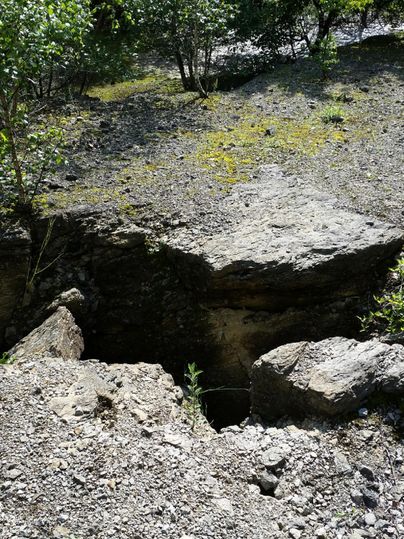 A rugged ground with visible stone and damp soil.
Surrounded by some plants and trees.