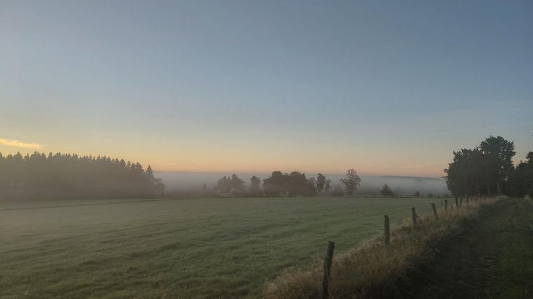 A tranquil landscape with a misty field and a gentle sunrise. Trees are visible on the horizon.