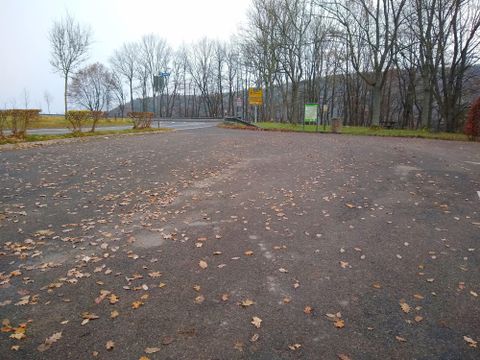 Een lege parkeerplaats met gevallen bladeren en kale bomen op de achtergrond. De lucht is bewolkt en het is een rustige sfeer.