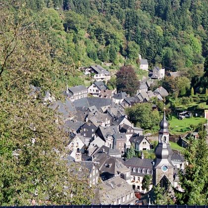A picturesque village with traditional houses and a church amidst trees. The green landscape frames the charming scene.