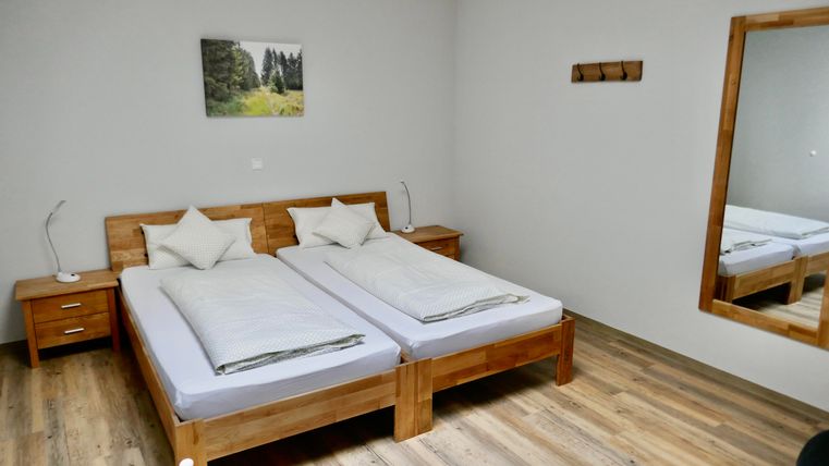 A modern bedroom with two single beds and wooden furniture. The walls are neutral, and a mirror along with a landscape painting adds coziness to the space.