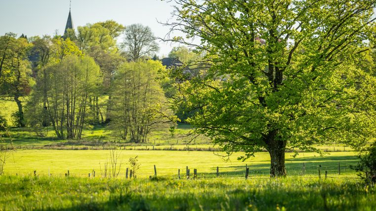Een idylische landschap met groene weiden en bomen. Op de achtergrond is een kerk zichtbaar.