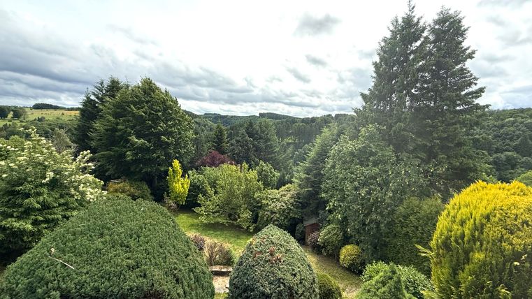 Een groene tuinlandschap met verschillende bomen en struiken. De lucht is bewolkt en het is een rustige, natuurlijke omgeving.