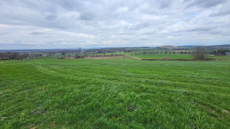Eine weite Wiesenlandschaft mit frischem, grünem Gras und einem bewölkten Himmel. Im Hintergrund sind sanfte Hügel und Felder sichtbar.