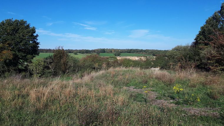 Een groene wei met hoog gras en verspreide bomen. Op de achtergrond zijn velden en een blauwe lucht te zien.