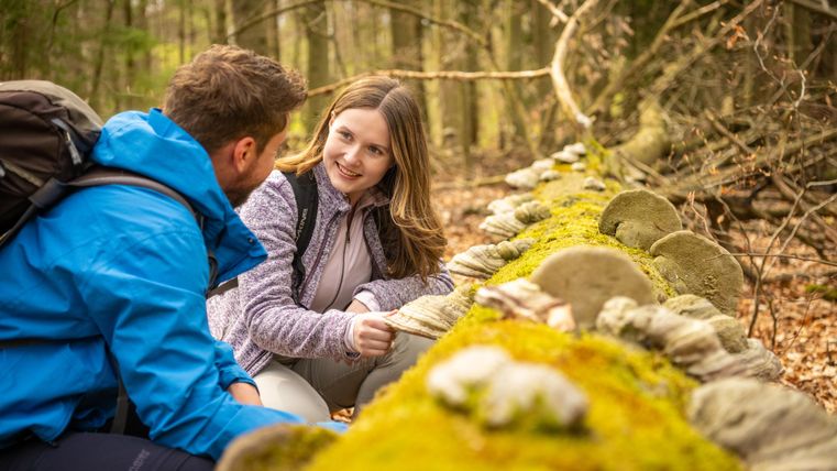 Een paar zit aan een met mos bedekte stenen muur in het bos. Ze praten met elkaar en genieten van de natuur om hen heen.