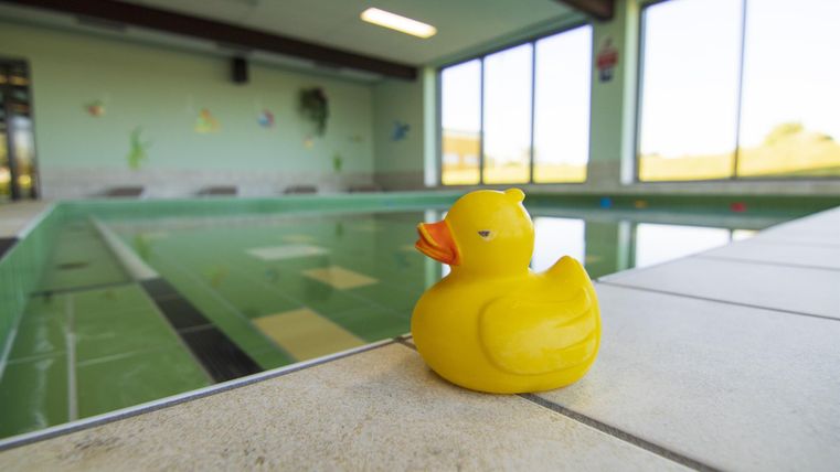 Eine gelbe Gummente liegt am Rand eines Innenpools. Der Pool hat eine große Fensterfront und klare Linien.