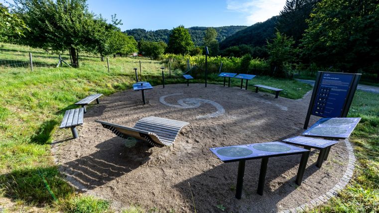 Een creatieve plek in de natuur met meerdere banken en informatieborden. Omgeven door bomen en zachte heuvels.