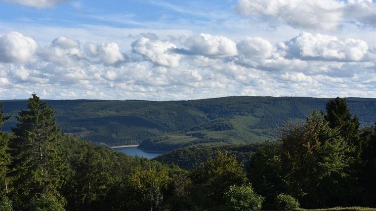 Een schilderachtig landschap met bergen en een meer op de achtergrond. De lucht is bedekt met veel wolken en de bomen zijn groen.