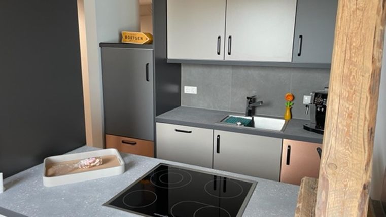 Een moderne keuken met een kookplaat, een gootsteen en een koelkast. De muren zijn in neutrale kleuren gehouden, en er zijn houten details in de ruimte.