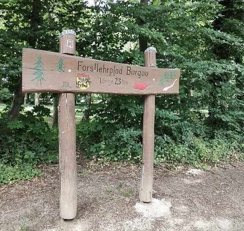 Bosnatuurpad in het bos van kasteel Burgau, © Sophia Eckerle
